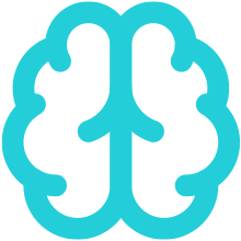 About Us 3 brain secondary